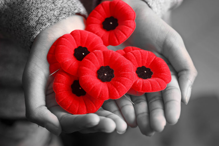Remembrance Day, Poppy Flowers, Armistice Day